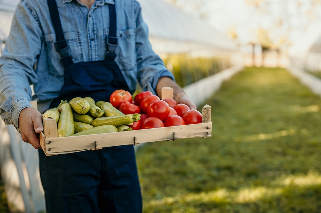 Read more about the article farm-to-table-organic-benefits-explained